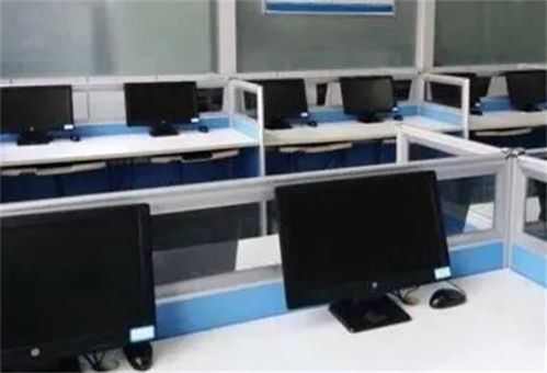 山東工業(yè)技師學(xué)院計(jì)算機(jī)網(wǎng)絡(luò)應(yīng)用專業(yè) 計(jì)算機(jī)技術(shù)開發(fā)的實(shí)踐與未來